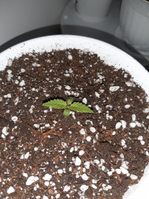 20221116_092320.jpg 20221116_092320.jpg