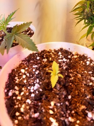 20221116_093419.jpg 20221116_093419.jpg