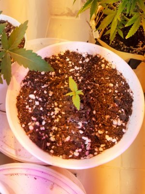 20221116_093448.jpg 20221116_093448.jpg