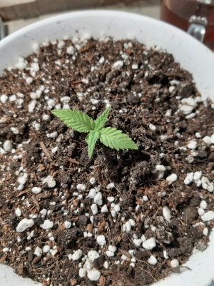 20221116_102219.jpg 20221116_102219.jpg