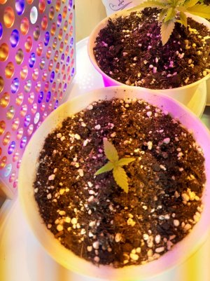 20221116_102315.jpg 20221116_102315.jpg