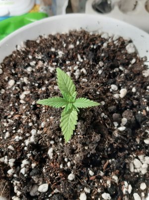 20221116_102828.jpg 20221116_102828.jpg