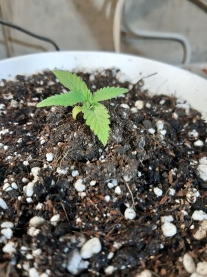 20221116_102842.jpg 20221116_102842.jpg