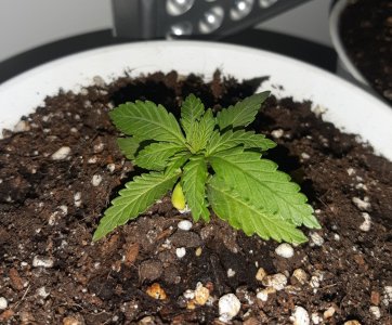 20221116_181640.jpg 20221116_181640.jpg