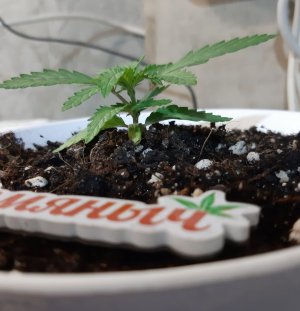 20221117_091326.jpg 20221117_091326.jpg