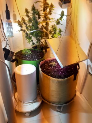 20221117_100842.jpg 20221117_100842.jpg