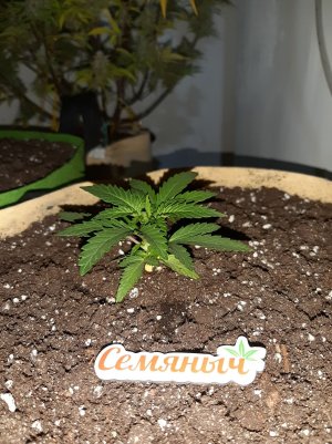 20221117_143100.jpg 20221117_143100.jpg