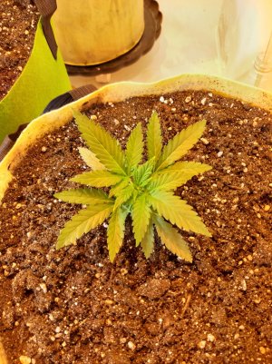 20221117_210237.jpg 20221117_210237.jpg