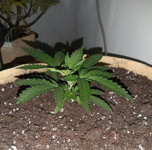 20221117_210346.jpg 20221117_210346.jpg