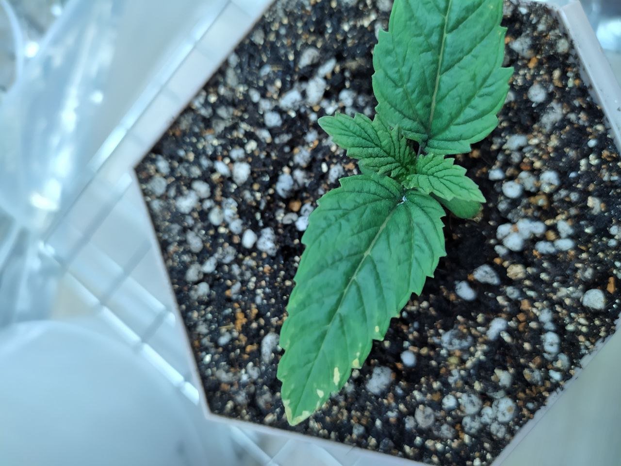 6 — копия.jpg