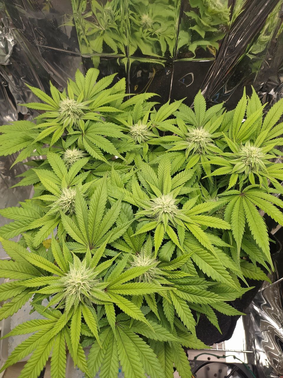 71 — копия.jpg