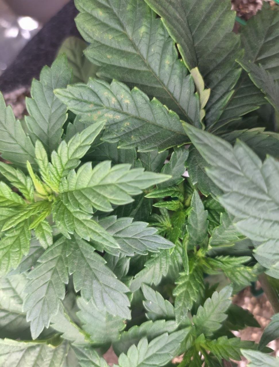 212 — копия.jpg