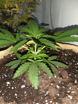 20221118_105939.jpg 20221118_105939.jpg