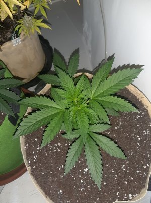 20221118_113905.jpg 20221118_113905.jpg