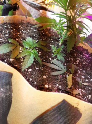 20221119_120043.jpg 20221119_120043.jpg