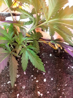 20221119_120136.jpg 20221119_120136.jpg