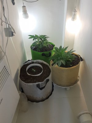 20221119_122101.jpg 20221119_122101.jpg