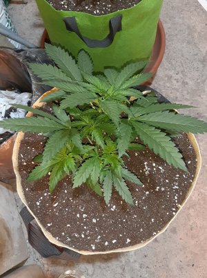 20221119_122116.jpg 20221119_122116.jpg