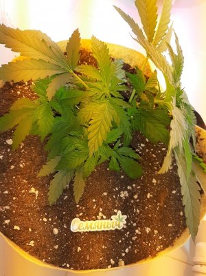 20221120_114111.jpg 20221120_114111.jpg