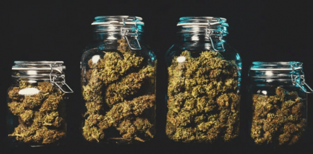 1668978045301.png 1668978045301.png