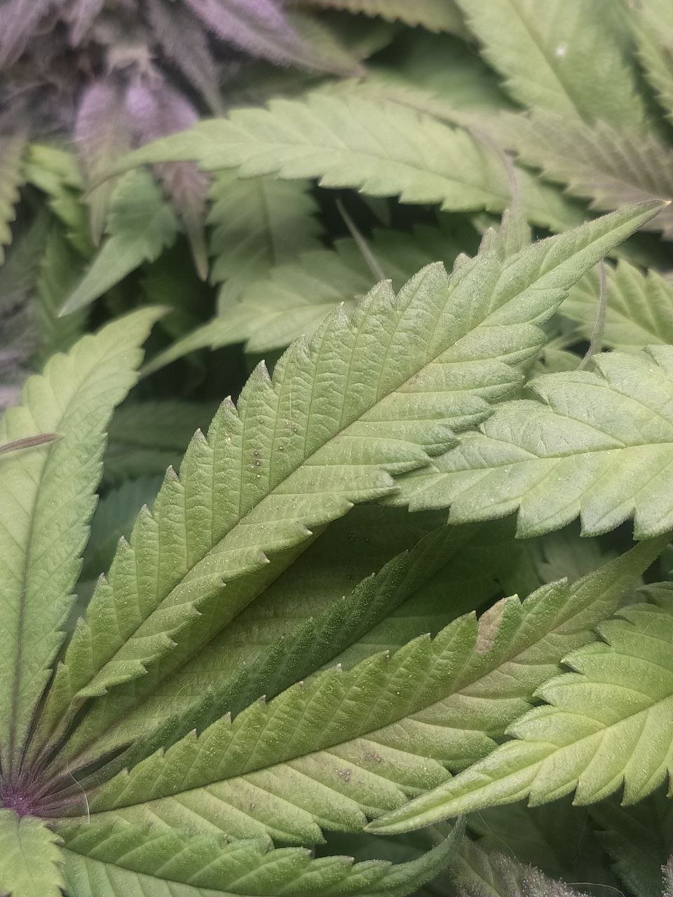 3 — копия.jpg