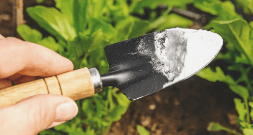 1669227537951.png 1669227537951.png