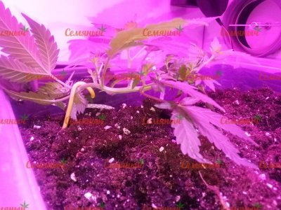 2229-wm-44388.70000001788_watermarked.jpg 2229-wm-44388.70000001788_watermarked.jpg