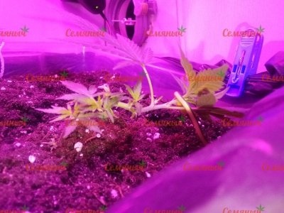 2223-wm-46444.40000000596_watermarked.jpg 2223-wm-46444.40000000596_watermarked.jpg