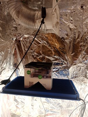 IMG_20221126_111529.jpg IMG_20221126_111529.jpg