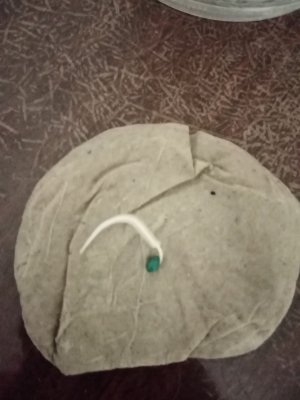 IMG_20221113_220053.jpg IMG_20221113_220053.jpg