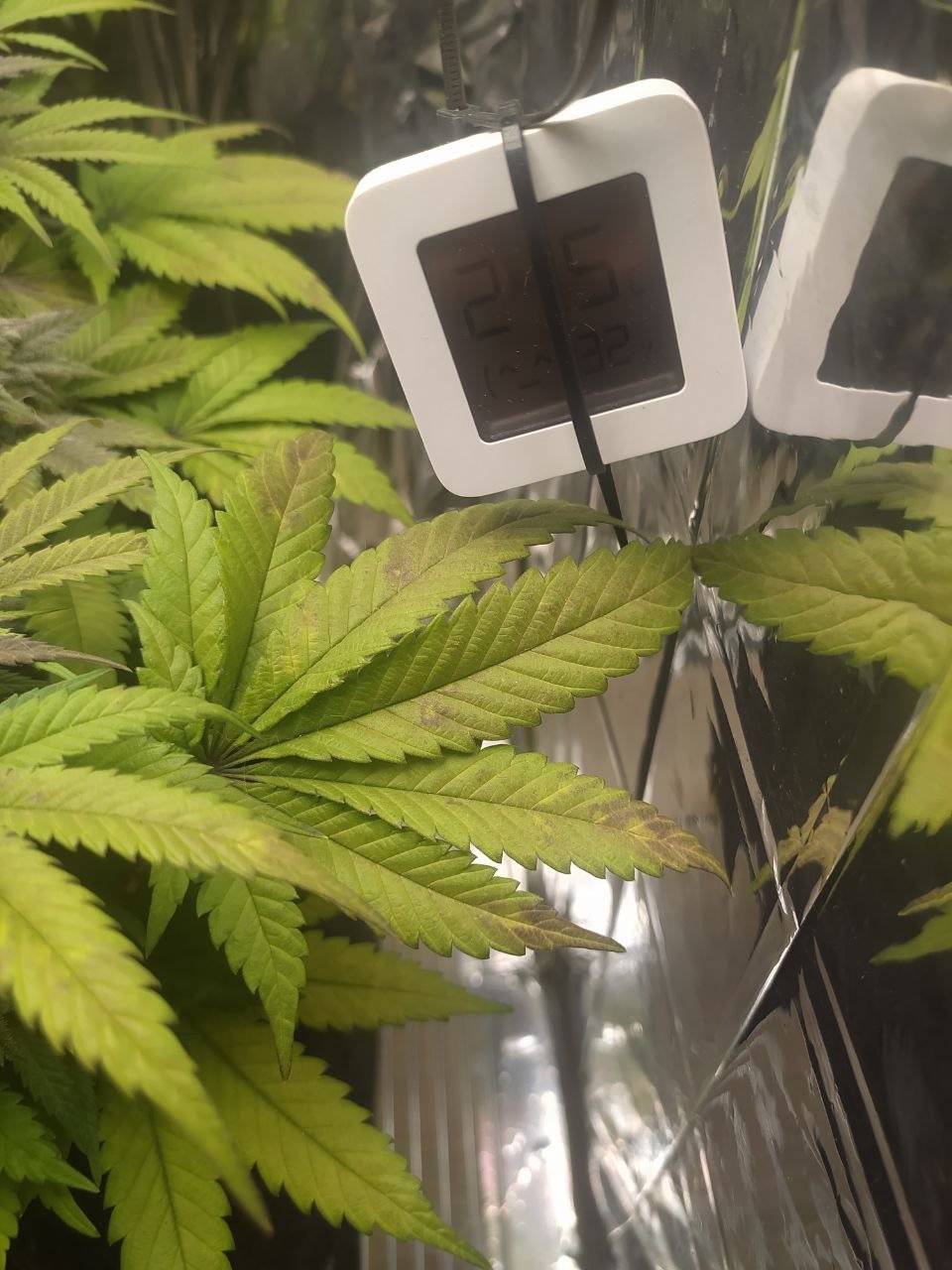 2 — копия.jpg