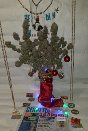 20221128_130227.jpg 20221128_130227.jpg