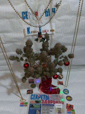 20221128_130209.jpg 20221128_130209.jpg