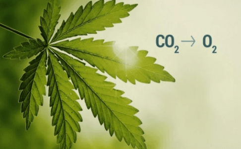 1669624376072.png 1669624376072.png