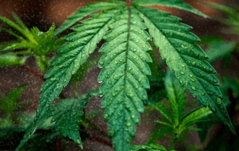 1669745375510.png 1669745375510.png