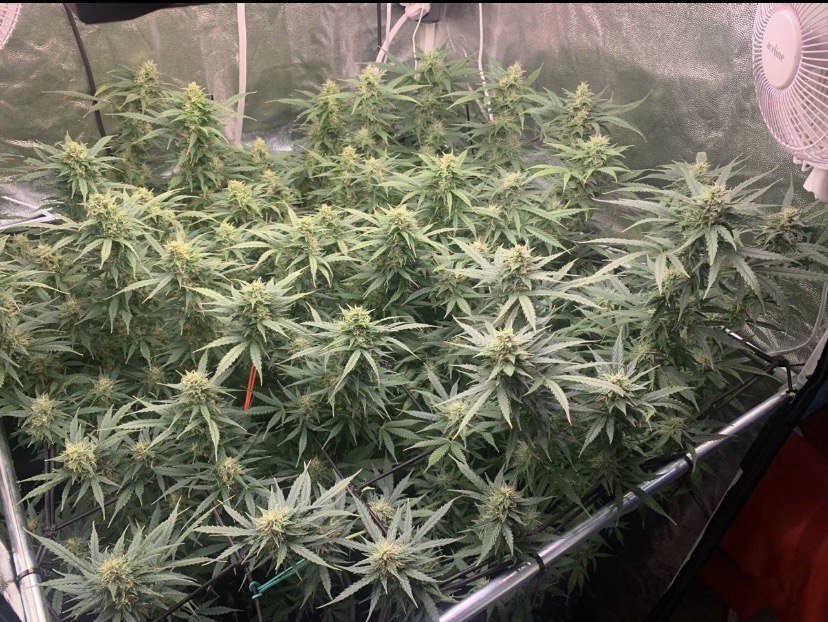 photo_2022-12-01_17-56-12.jpg photo_2022-12-01_17-56-12.jpg