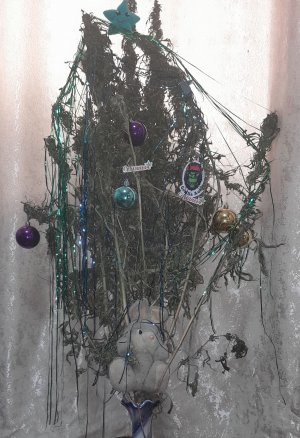 20221202_123710.jpg 20221202_123710.jpg