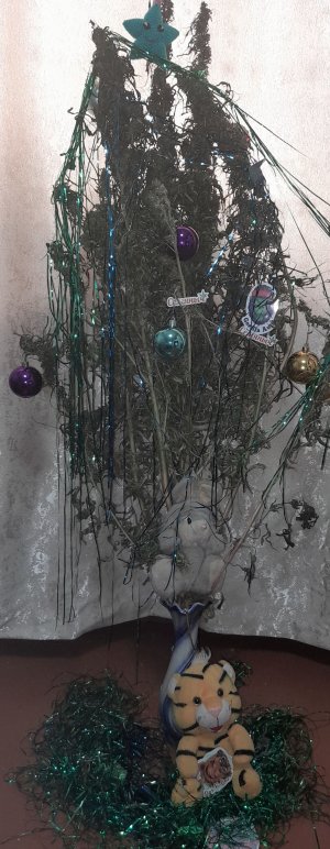 20221202_123612.jpg 20221202_123612.jpg