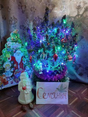 IMG_20221203_153645.jpg IMG_20221203_153645.jpg