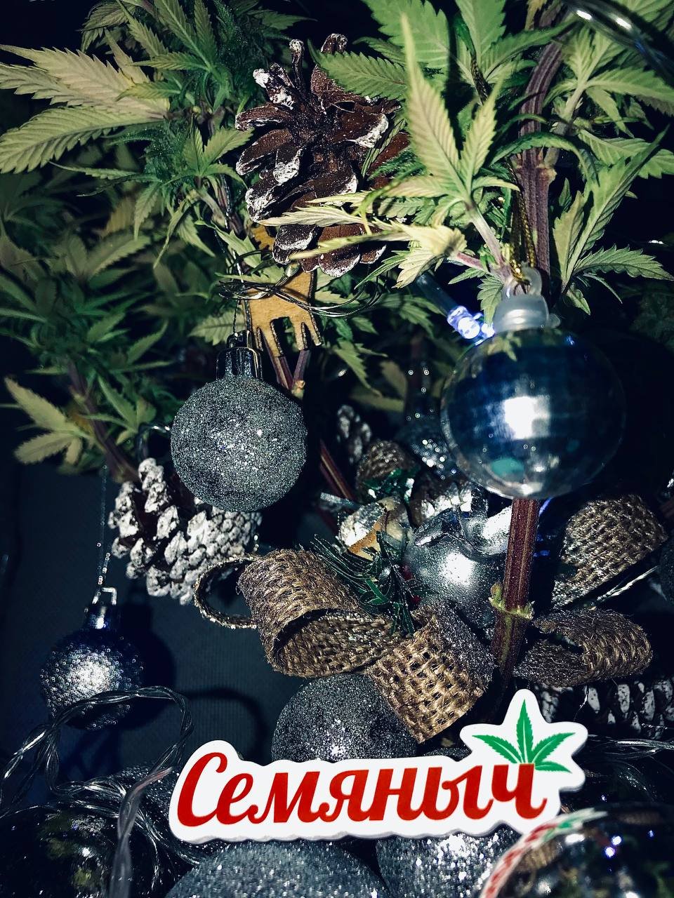 photo_2022-12-03_21-00-21.jpg photo_2022-12-03_21-00-21.jpg