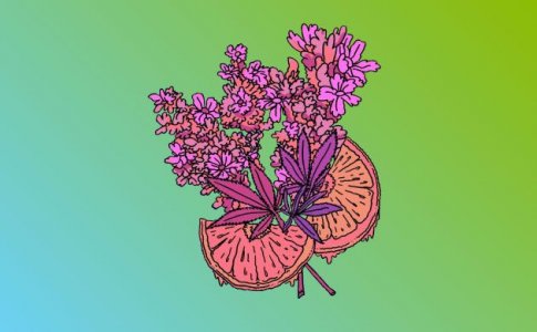 Линалоол Линалоол