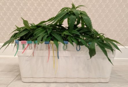 imgonline-com-ua-dexifUEC2cLnzQ3qc.jpg imgonline-com-ua-dexifUEC2cLnzQ3qc.jpg