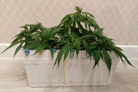 imgonline-com-ua-dexifmyIzU4KB8XJN.jpg imgonline-com-ua-dexifmyIzU4KB8XJN.jpg