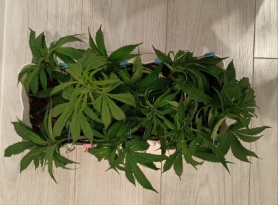 imgonline-com-ua-dexifLKBnKJVAJ9bT.jpg imgonline-com-ua-dexifLKBnKJVAJ9bT.jpg