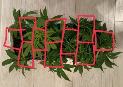 imgonline-com-ua-dexif3lumMkAlh161.jpg imgonline-com-ua-dexif3lumMkAlh161.jpg