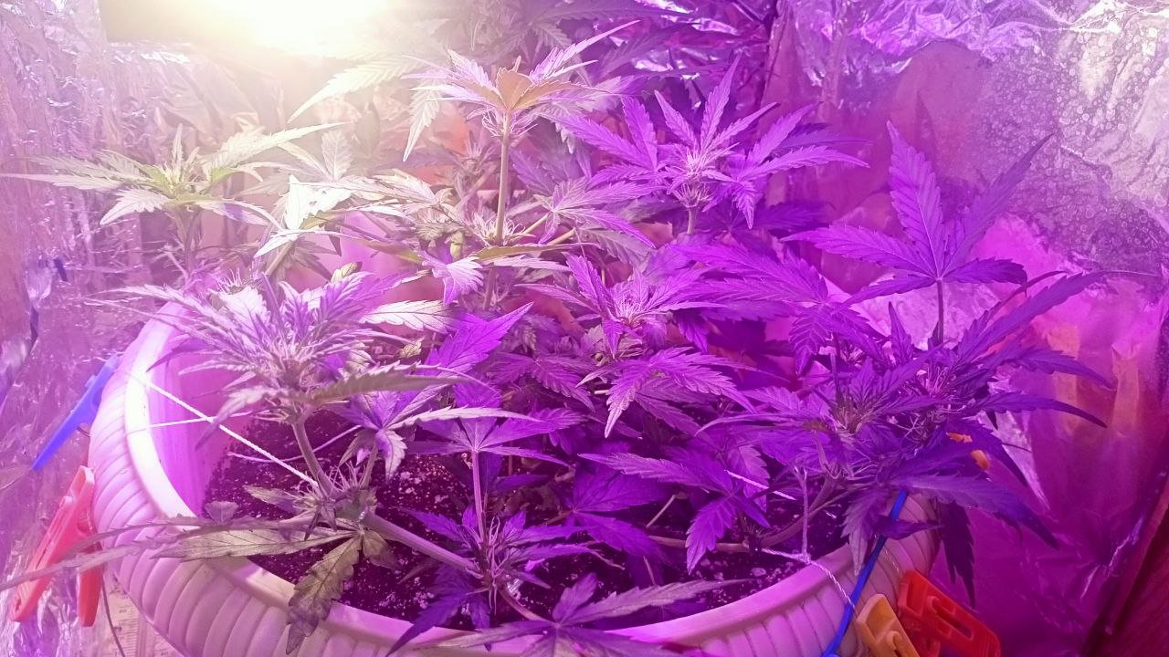 photo_2022-11-13_17-52-57.jpg photo_2022-11-13_17-52-57.jpg