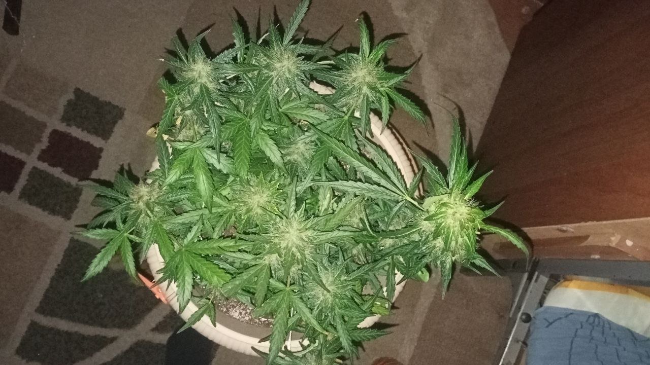 photo_2022-12-09_20-37-17 (3).jpg