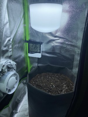 46ACCA6D-1EB1-4E0B-AC94-ABAFBBD1D997.jpeg 46ACCA6D-1EB1-4E0B-AC94-ABAFBBD1D997.jpeg