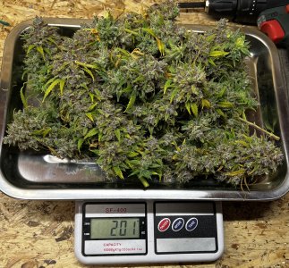 70AA847D-35A8-48A4-BB3C-52D7B69DC9EC.jpeg 70AA847D-35A8-48A4-BB3C-52D7B69DC9EC.jpeg