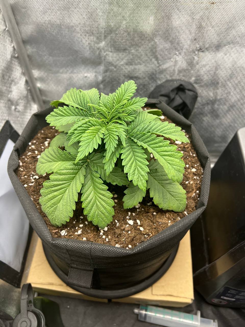 2594E3F0-7400-4544-BAA8-92DA52548267.jpeg 2594E3F0-7400-4544-BAA8-92DA52548267.jpeg